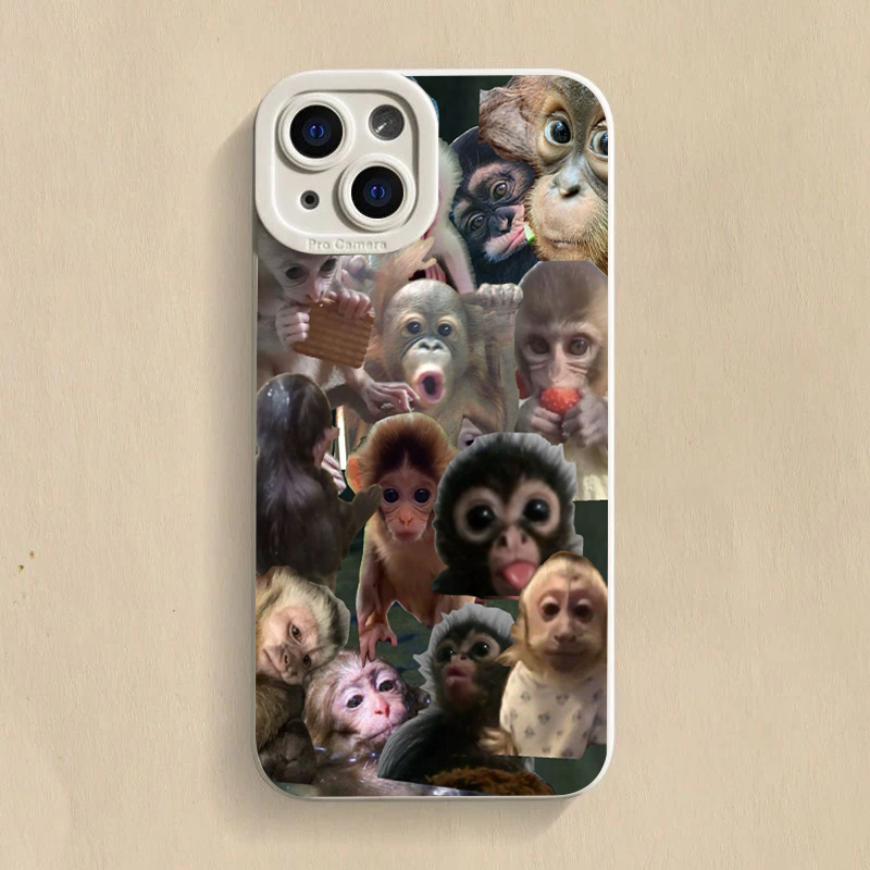 Custodia per telefono con scim - Phone Cases Samsung S24 recensione e prezzo